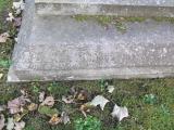 image of grave number 171535